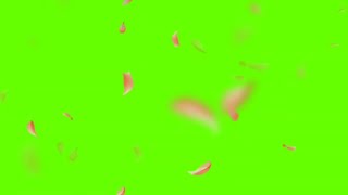 Falling flower effect  Green Screen Background  With Falling Flowers  1 HOURS [upl. by Katuscha338]