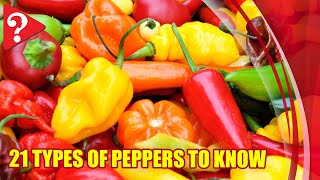 21 Types of Peppers to Know [upl. by Sigfrid]