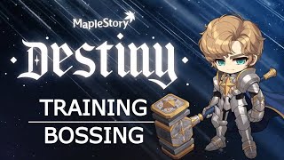 MapleStory Paladin Bossing amp Training Guide [upl. by Eatnoled356]