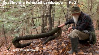 Tom Wessels Reading the Forested Landscape Part 2 [upl. by Shull447]