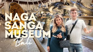 Exploring Naga Sanga Museum Ubud Bali [upl. by Mutat]