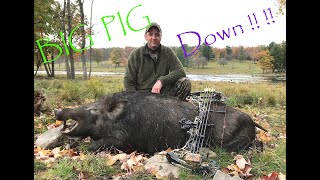 Tioga Hog Hunt  With a Bow [upl. by Tena]