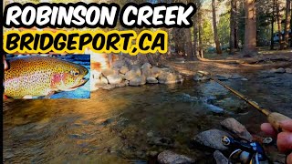 Fish After Fish  Robinson Creek  BridgeportCA  Eastern Sierra Opener [upl. by Ahseram764]