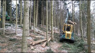 Holzschlag mit 2 Forstunternehmer 🇨🇭🌲🪓 quotForwarder und Vollernterquot [upl. by Ric]