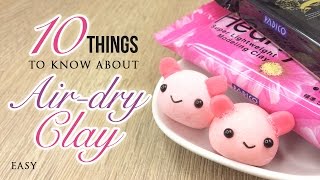 10 Things You Must Know About Airdry Clay [upl. by Nilya213]