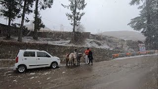 Shimla Kufri Live Snowfall  Himachal Pradesh India [upl. by Eijneb661]