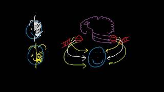 Bells Palsy vs Upper Motor Neuron Lesion [upl. by Zerelda]