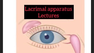 Lacrimal apparatus lectures part 2 Eye lectures eyelectures eye jatoi lacrimalgland [upl. by Bowra]