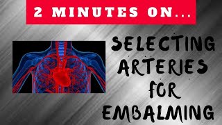 How Do You Select Which Artery to Use for Embalming  Just Give Me 2 Minutes [upl. by Ilam433]