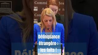 Délinquance étrangère  les faits [upl. by Madalyn]