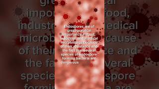 Uses of endosporessporesmicrobiologymicroorganismsfactsytbiologyytshortssciencemedical [upl. by Nyladnarb]