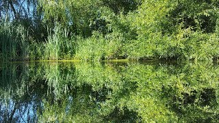 Summer afternoon  Barcombe Mills [upl. by Klusek]