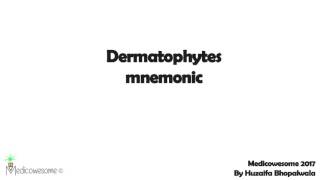 Dermatophytes mnemonic [upl. by Uolyram]