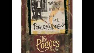 The Pogues  Billys Bones BBC Janice Long Show [upl. by Tecla582]