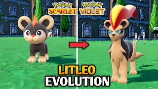 How To Evolve Litleo Into Pyroar In Pokemon Scarlet And Violet  Paldea Pokedex [upl. by Ardnuahs]