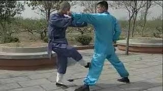 Shaolin Kung Fu 20 fight techniques [upl. by Ainezey497]