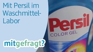 Wäsche sauber waschen Im WaschmittelLabor von Persil  dm mitgefragt Folge 25 [upl. by Dasi591]