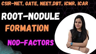 Root Nodule Formation  NodFactors CSIRNET GATE DBT ICMR ICAR NEET Msc Bsc [upl. by Anne-Corinne]