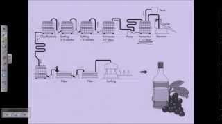 Wine production overview [upl. by Nilyahs]