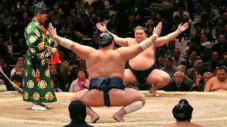 LIVE SUMO w my commentary  Day 11 of the November Grand Sumo tourney in Fukuoka Japan [upl. by Heady623]