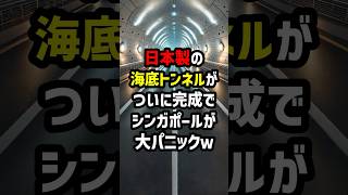 日本製の海底トンネルが遂に完全でシンガポールが大パニックw 海外の反応 [upl. by Atiuqcaj]