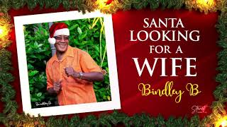 Santa Looking For A WifeBindley B [upl. by Erdnad]