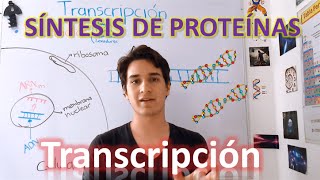 Transcripción Síntesis de proteínas nivel elevado EN 7 MINUTOS [upl. by Metzger95]