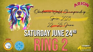 OBEDIENCE FCI WORLD CHAMPIONSHIP  SPAIN 2023 RING 2  Saturday Qualifications [upl. by Edythe]