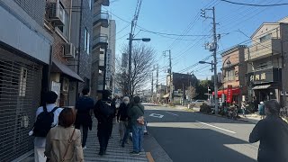 🔴IRL in Tokyo  Yanaka Ginza Nezu Shrine Ueno Akihabara  Lets Explore japaneseemichannel [upl. by Anyala]