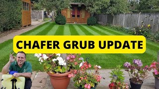 Chafer grub situation  update amp MORE tips [upl. by Allak]