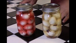 Making pickled quail eggs  Southern style [upl. by Enecnarf]