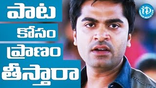 Beep Song Controversy  Police Hunt For Simbu [upl. by Ynoep933]