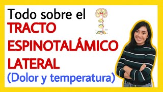 Tracto espinotalámico lateral ¡FÁCIL EXPLICACIÓN  Dolor y temperatura  Sistema de analgesia [upl. by Elesig]