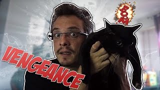 Je me venge de mon chat [upl. by Ettelohcin]