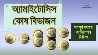 অ্যামাইটোসিস কোষ বিভাজন  Amitosis cell division  Bangla Animation Video  Learning24 [upl. by Verner]