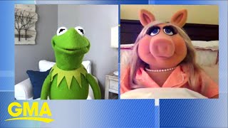 Kermit the Frog and Miss Piggy talk about their show ‘Muppets Now’ on Disney l GMA [upl. by Nihhi817]