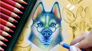 RealTime Colour Pencil Sketchbook Drawing Faber Castell POLYCHROMOS [upl. by Cirdes]