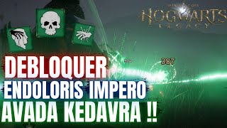 COMMENT DEBLOQUER AVADA KEDAVRA IMPERO amp ENDOLORIS ⚡ GUIDE HOGWARTS LEGACY SORTILEGE IMPARDONABLE [upl. by Gaige]