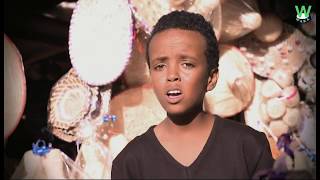 WAKAtv  Siem Siyum  Adey  ኣደይ ብድም ሴም ስዩም  New Eritrean Music 2019 [upl. by Wickman]