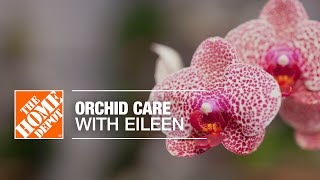 Orchid Care with Eileen  Indoor House Plants  The Home Depot [upl. by Meta]