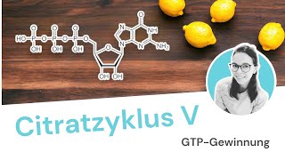 Citratzyklus  Schritt 5 von 6 GTPGewinnung [upl. by Arretal]