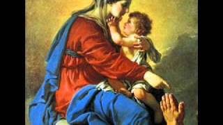 Salve Mater Misericordiae  Catholic Song of Praise to Mary [upl. by Belvia508]