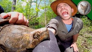 CRAZY Alligator Snapping Turtle Bite [upl. by Yrocej]