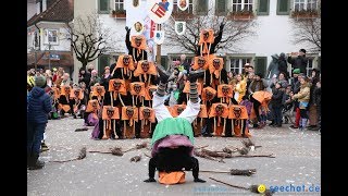 Narrenumzug in Langenargen am Bodensee 14012018 in 4K [upl. by Adekan]