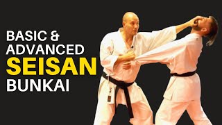 Seisan Bunkai Basic and Advanced [upl. by Saihtam]