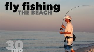 Fly Fishing the Beach  Jack Crevalle amp Ladyfish  Fort Pickens State Park Florida [upl. by Aisset]