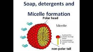 Soaps and detergents class 10 [upl. by Thanasi692]