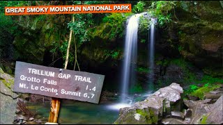 Grotto Falls Smoky Mountains Bucket List Waterfall Hike  52 Hike Challenge  1552 [upl. by Chatterjee]