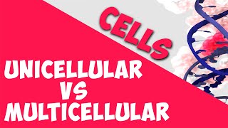 Unicellular vs Multicellular  Cells  Biology  AddyESchool [upl. by Etiuqram]