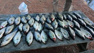 Ultimate Fall Crappie Fishing Tips [upl. by Calendre]